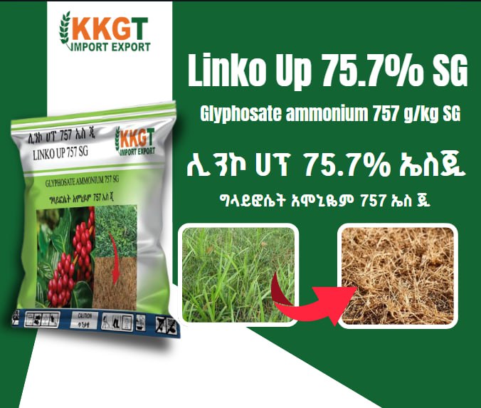 ሊንኮ ሀፕ   Linko Up