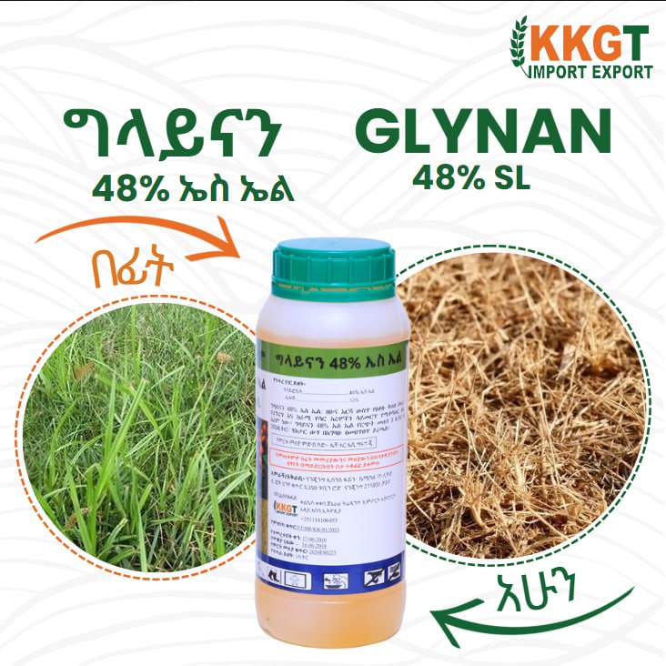 ግላይናን  Glynan