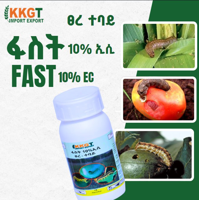 ፋስት  FAST
