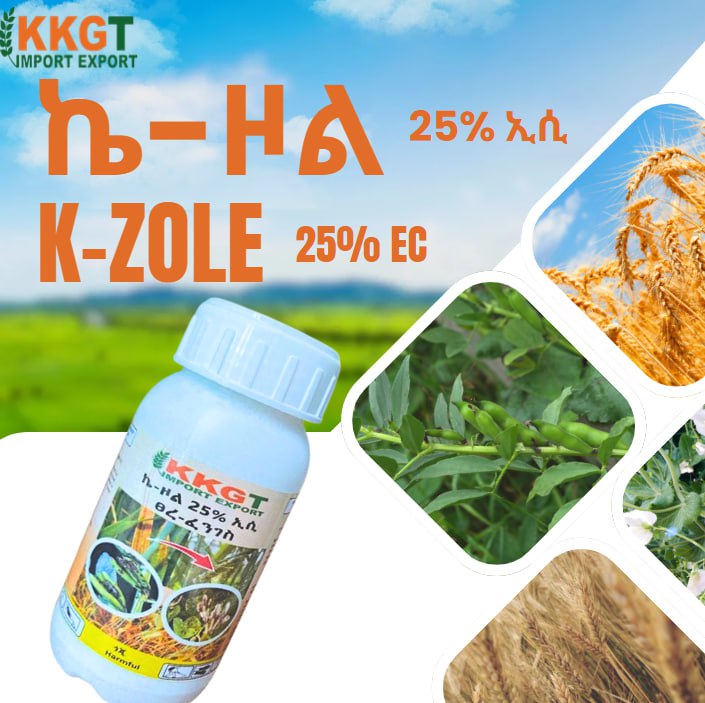 ኬ-ዞል   k-zole