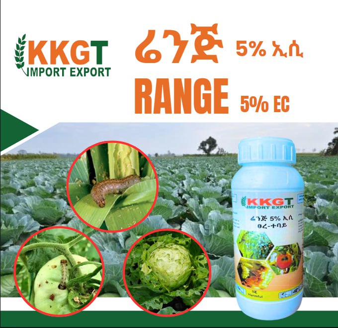 ሬንጅ Range