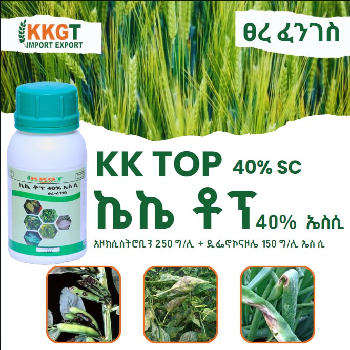ኬኬ ቶፕ KK Top