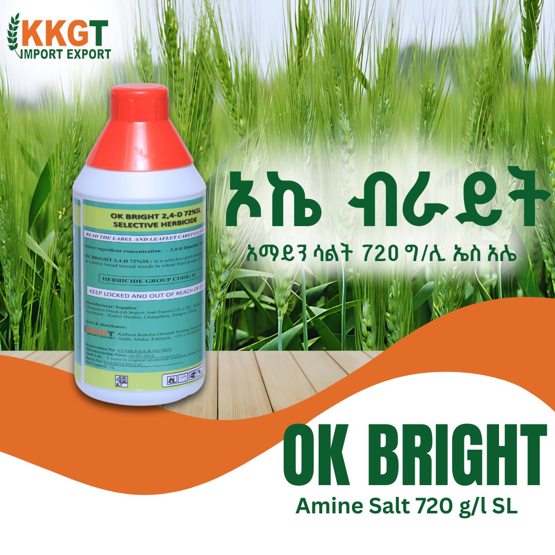 ኦኬ ብራይት  Ok Bright